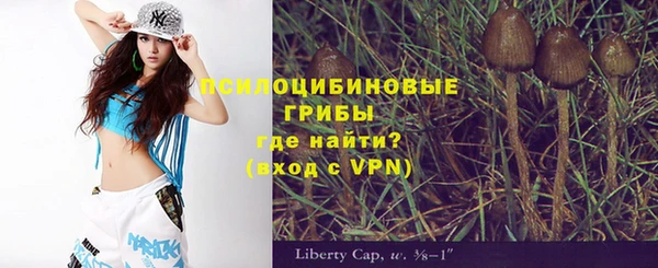 кокс Богородицк